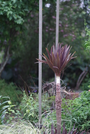 e0271409_030333.jpg