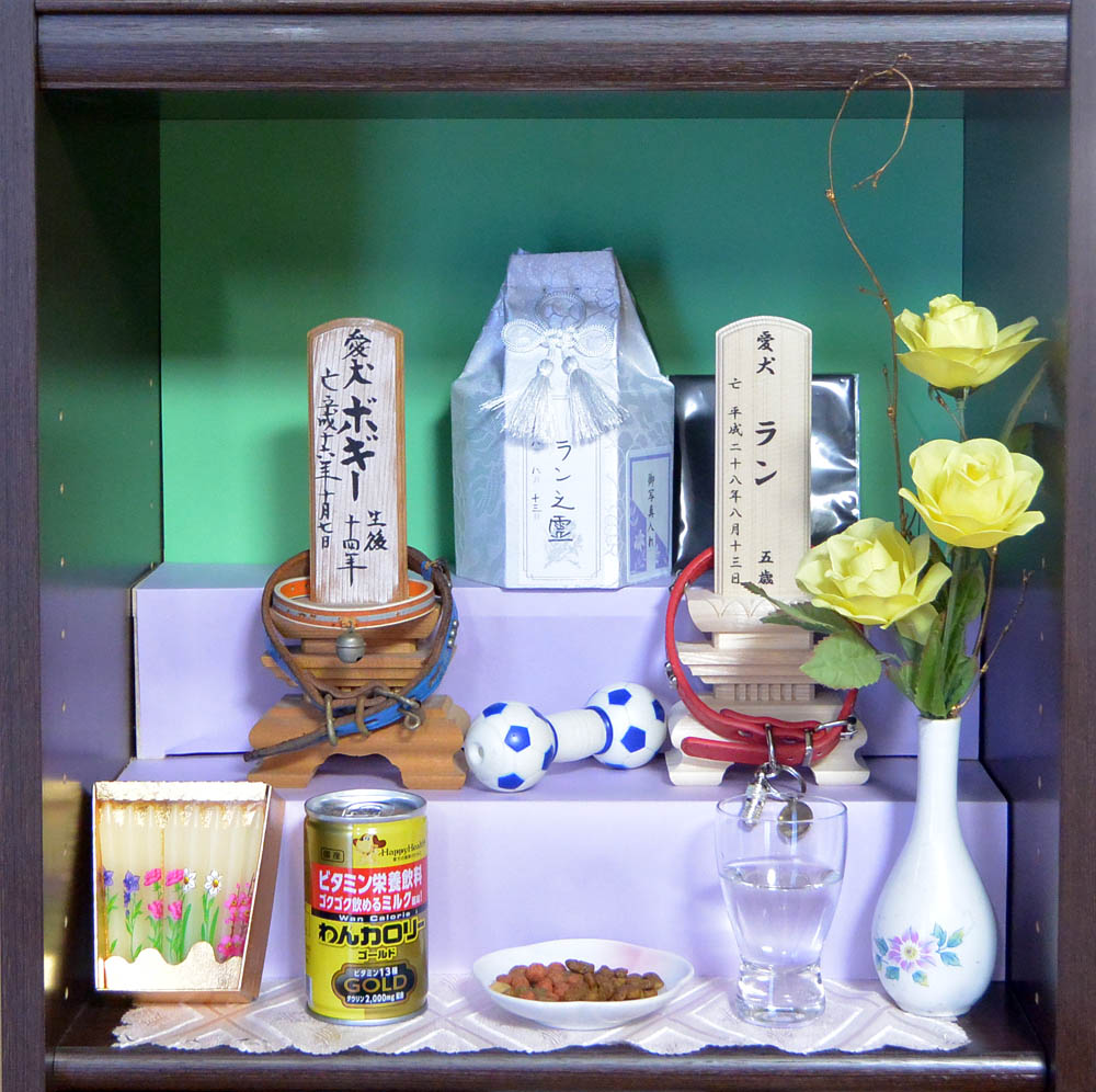 「ルン&ラン」の成長記録_a0042310_12325411.jpg