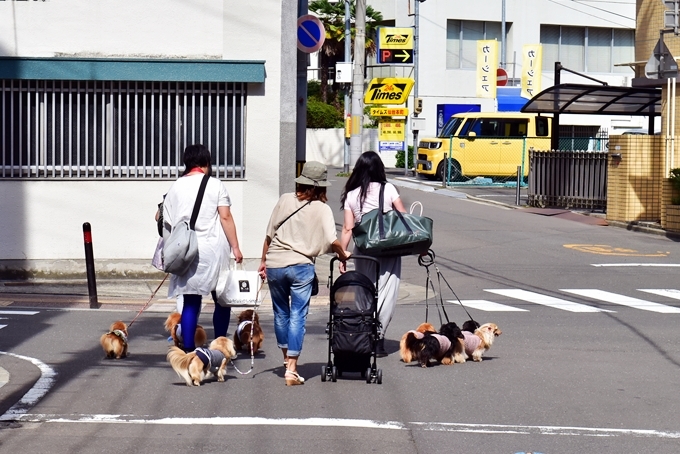 ワンコと一緒にランチ♪_d0179113_22133472.jpg