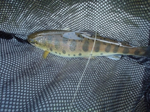 f0280717_13010322.jpg