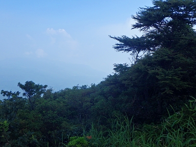 f0193521_71311.jpg