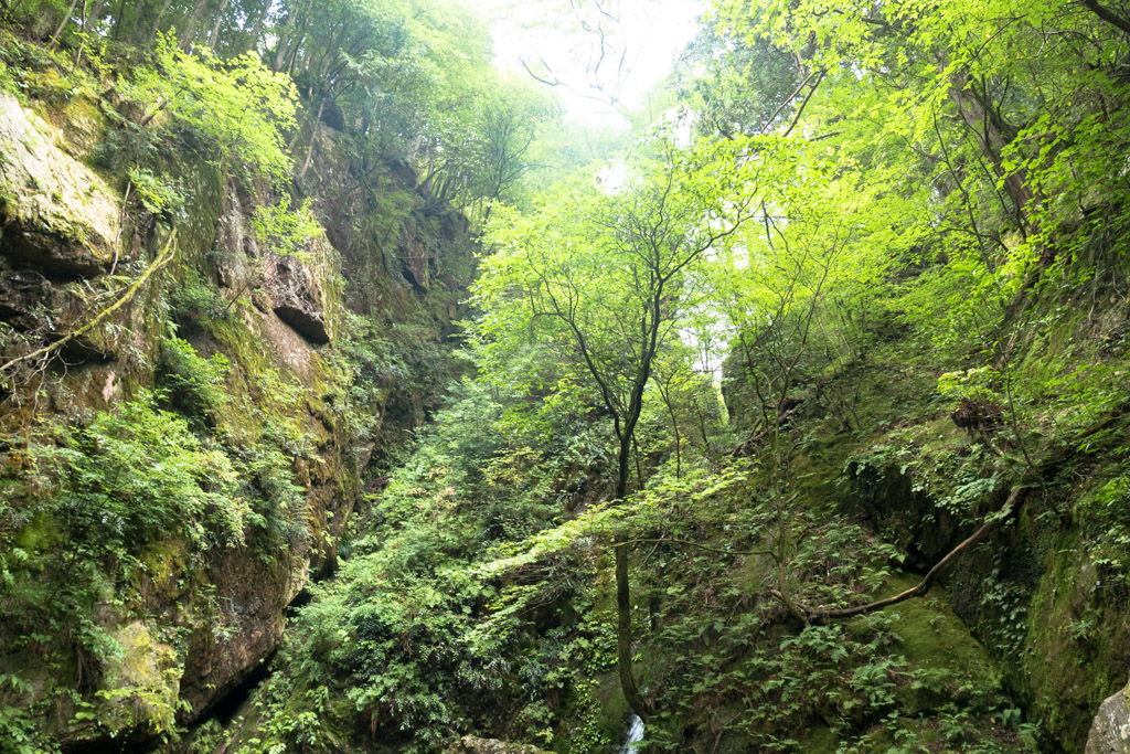 d0161322_20515053.jpg