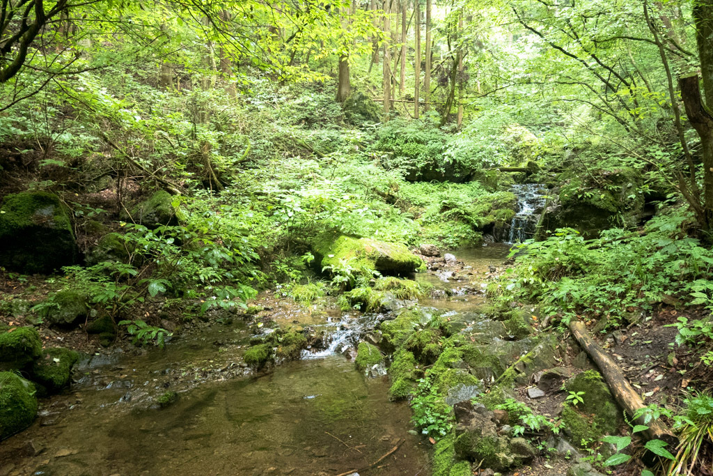 d0161322_20543651.jpg