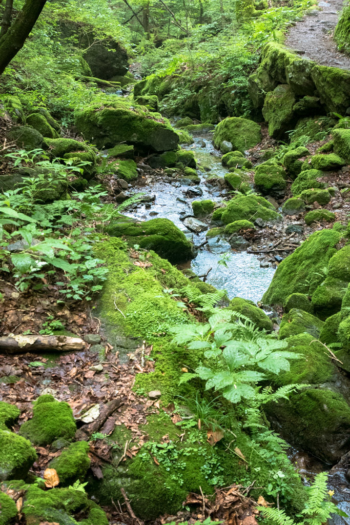 d0161322_20562505.jpg