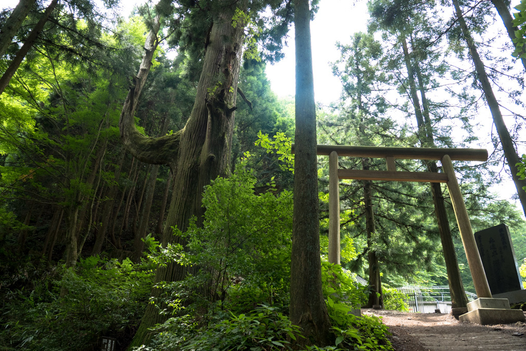 御岳山　2016年08月12日(金)_d0161322_20562711.jpg