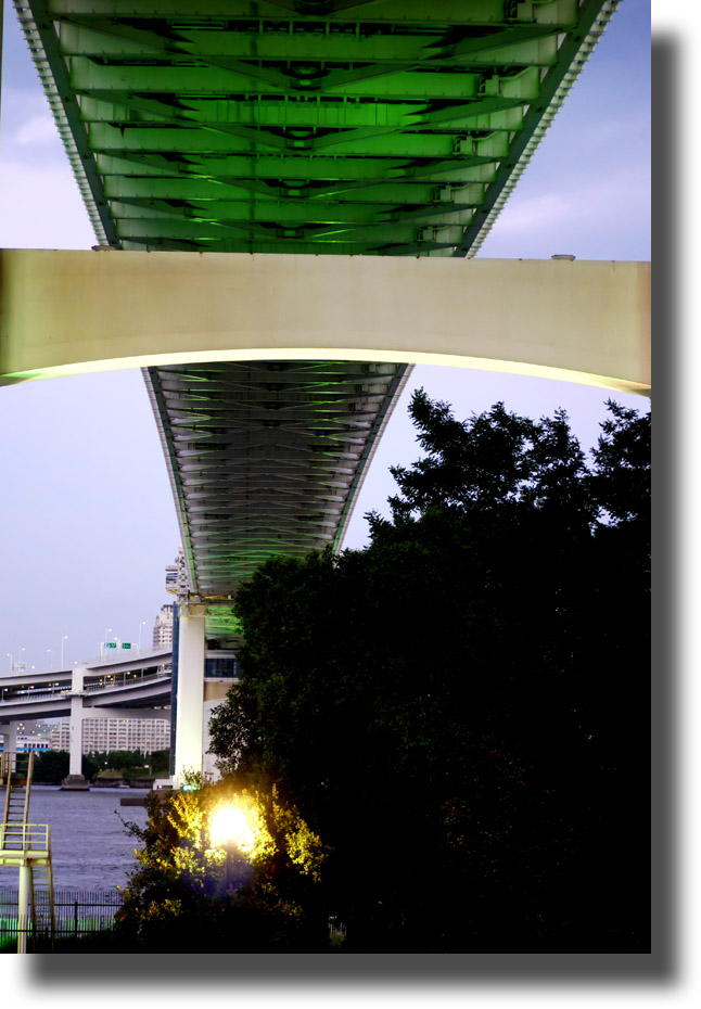 東京湾沿岸ナイトツアー8月9日_c0121824_16532062.jpg