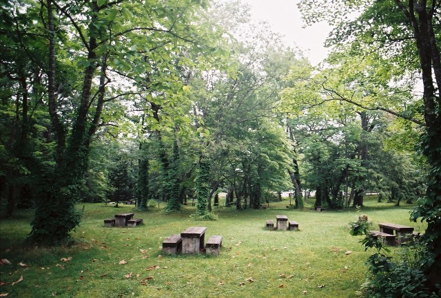 f0362725_16280474.jpg