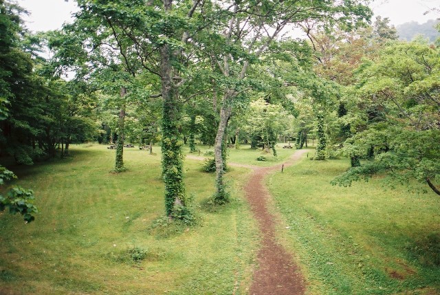 f0362725_16280907.jpg