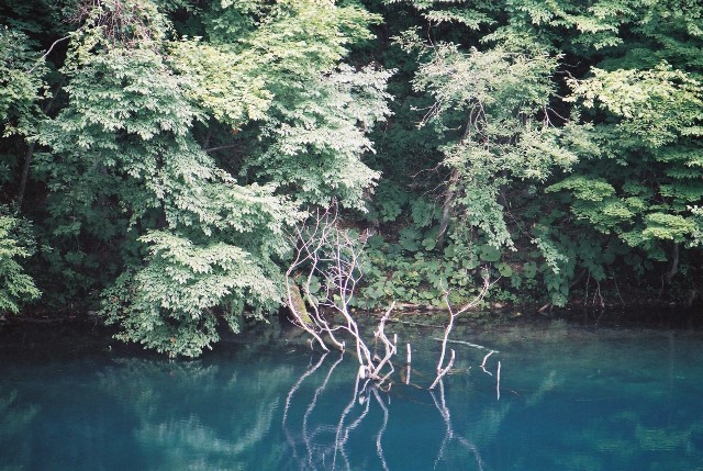 f0362725_16282740.jpg