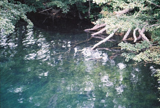 f0362725_16283903.jpg