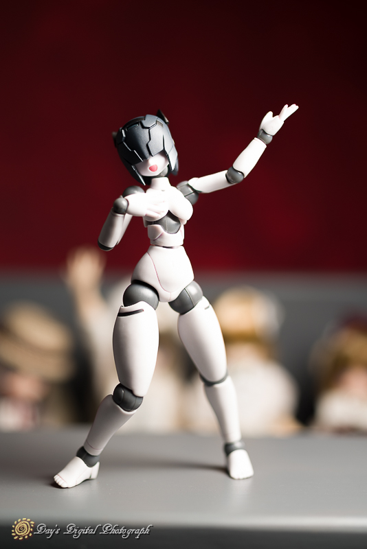 ポリニアン * : 散策DAY'S excite