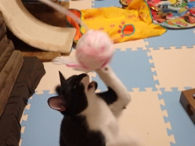 f0364330_12183255.jpg
