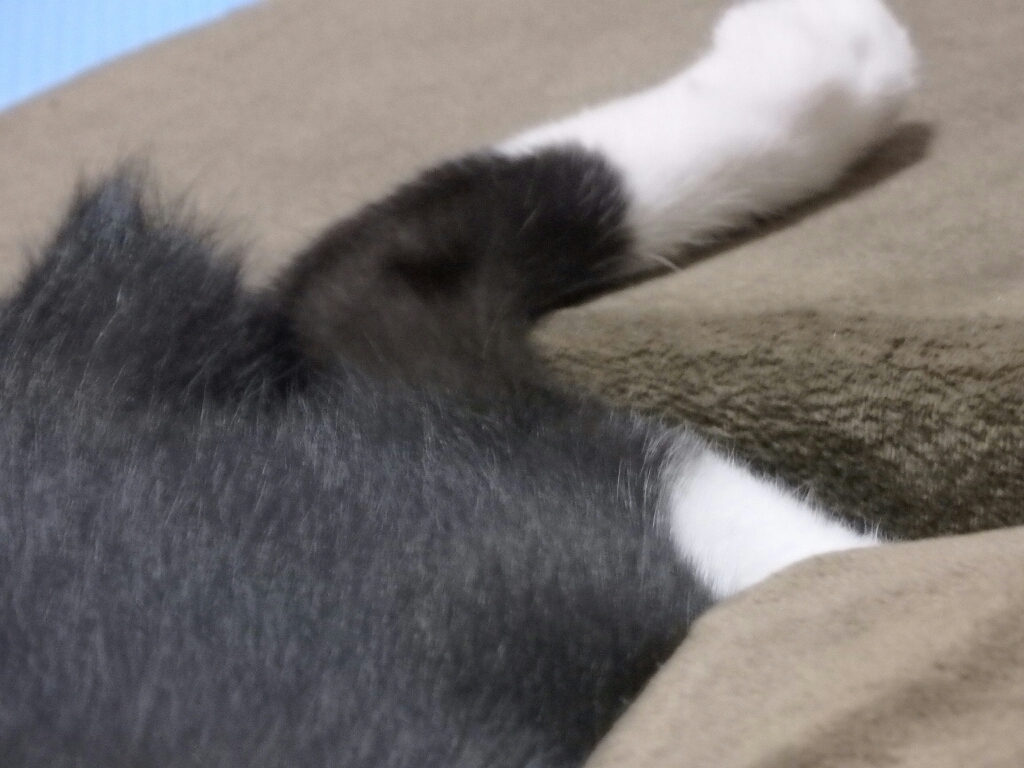 f0364330_12184519.jpg