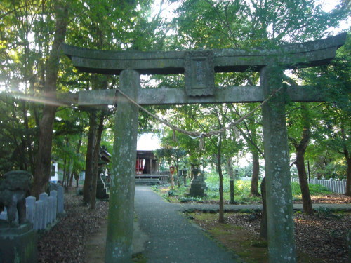 b0355038_14295535.jpg