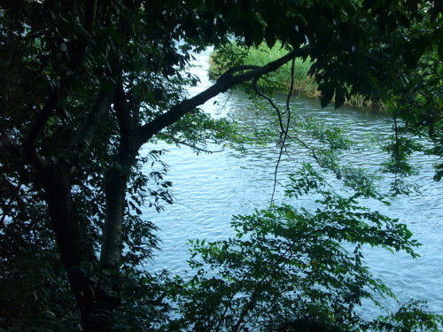 b0355038_14402578.jpg