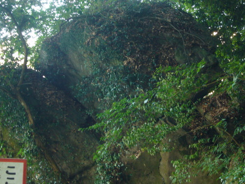 b0355038_14432818.jpg