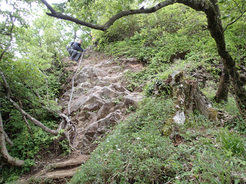 関東百名山女子会・陣馬山、明神ヶ岳、檜洞丸、高尾山ビアマウントを行く_b0190242_16244536.jpg