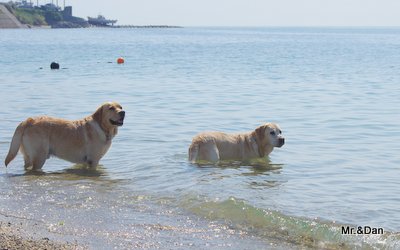 淡路島 「のじまスコーラ」へ！_a0142343_141578.jpg