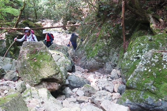 夢前町 河原川 亀ケ壷滝_b0227552_15153735.jpg