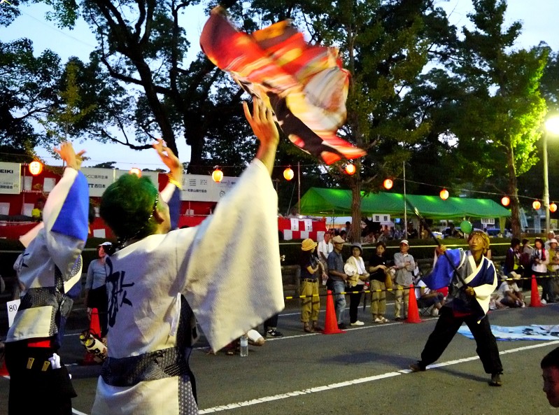 　　第１３回紀州よさこい祭り　おどるんや _b0093754_2051526.jpg