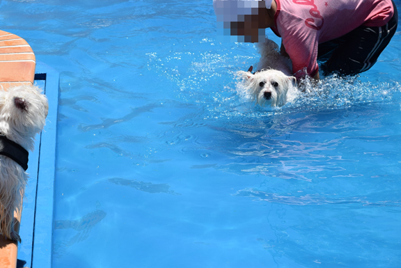 b0242873_01474578.png