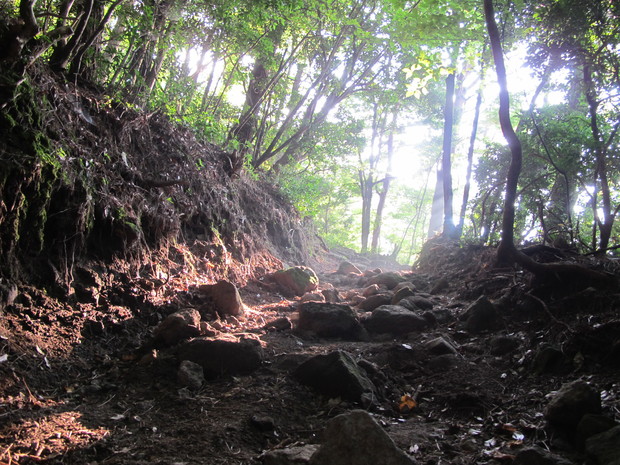 登山規制解除の由布岳を登る　2016.8.14（日）_a0166196_17342617.jpg