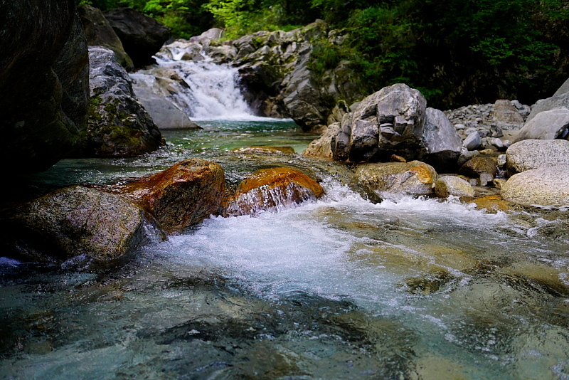 c0339900_20361996.jpg