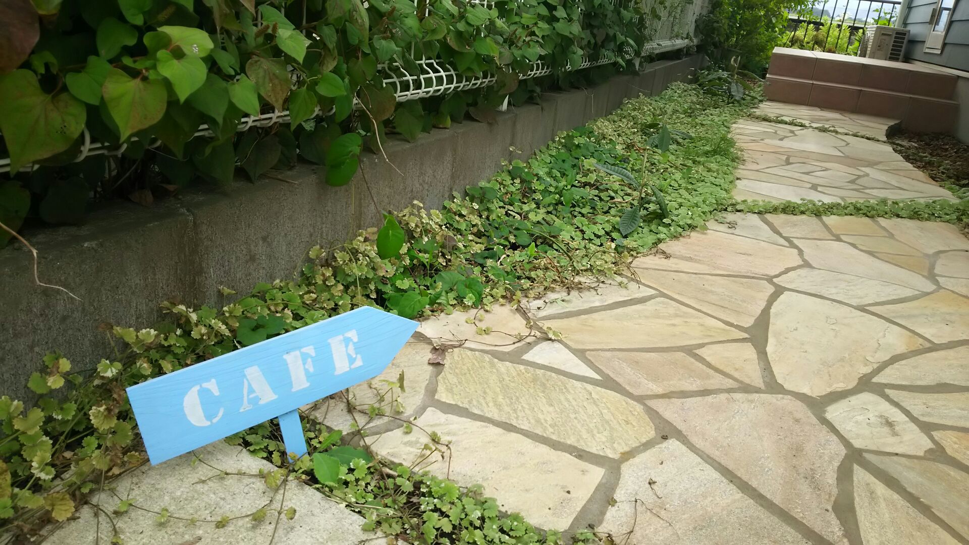 f0363000_13521562.jpg