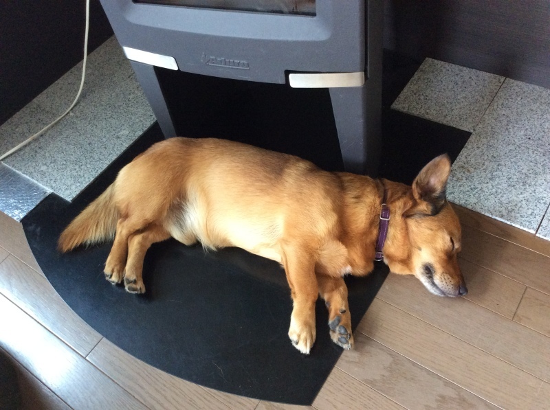 b0220002_20131318.jpeg
