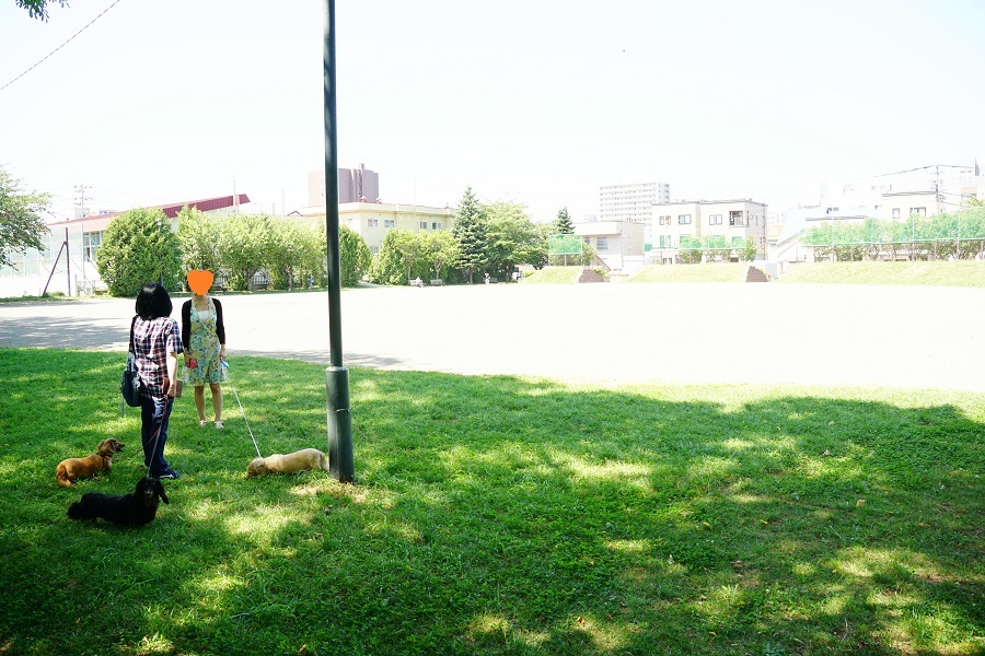 a0332203_18031640.jpg