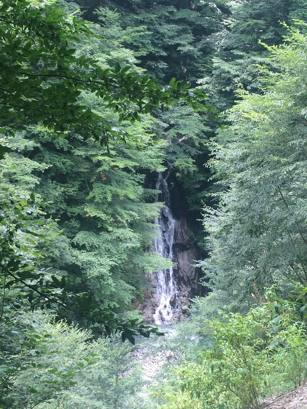 d0149306_1125446.jpg