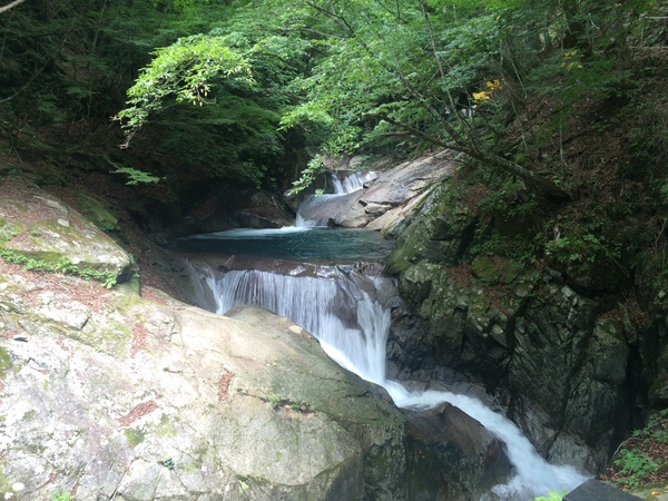 d0149306_11262598.jpg