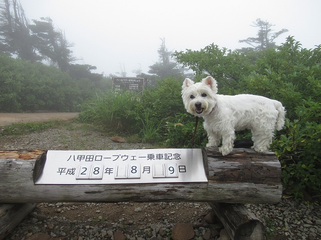 f0039907_14403327.jpg
