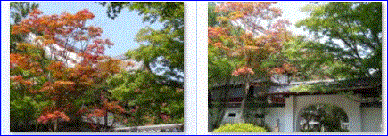 f0231709_1511373.gif