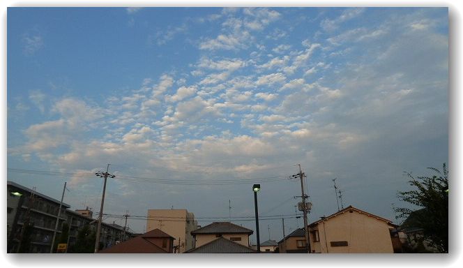 c0066514_94876.jpg