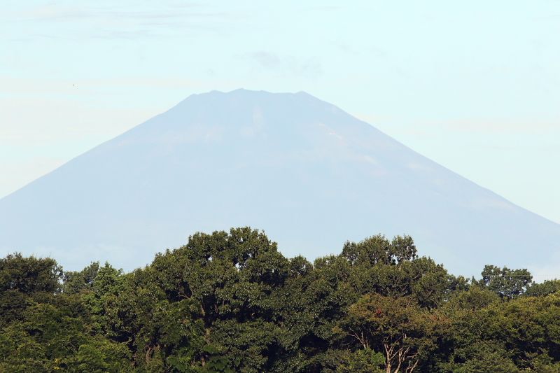 今朝の富士山_d0240223_923373.jpg