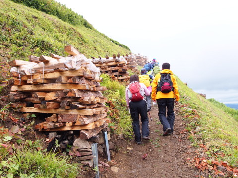 大文字焼きの山、鳳凰山トレッキング(秋田県大館市)*2015.06.28_b0147224_14283521.jpg