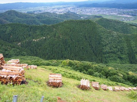 大文字焼きの山、鳳凰山トレッキング(秋田県大館市)*2015.06.28_b0147224_14291790.jpg