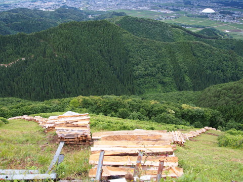 大文字焼きの山、鳳凰山トレッキング(秋田県大館市)*2015.06.28_b0147224_14311546.jpg