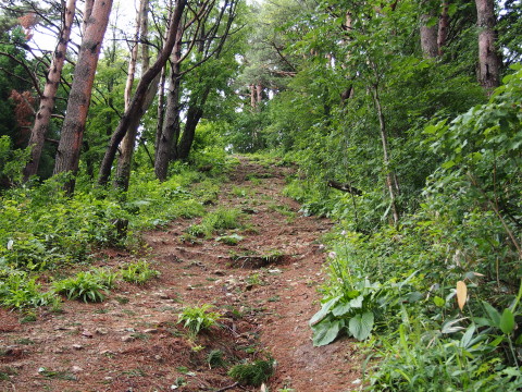 大文字焼きの山、鳳凰山トレッキング(秋田県大館市)*2015.06.28_b0147224_14411136.jpg