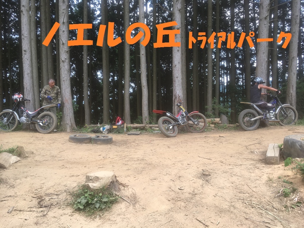 d0222526_11490757.jpeg
