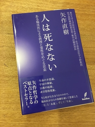美登さんの夏の花達_a0197730_03271843.jpg