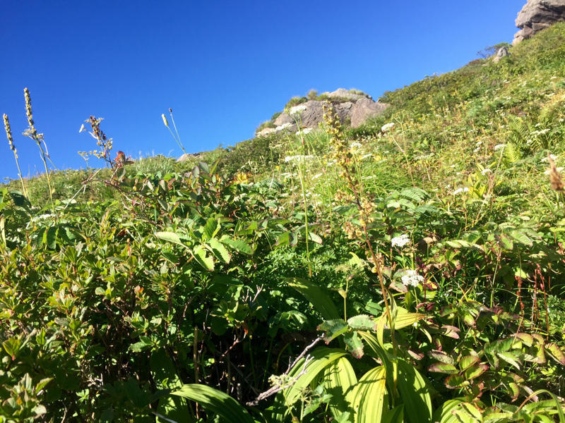 c0225536_07532388.jpg