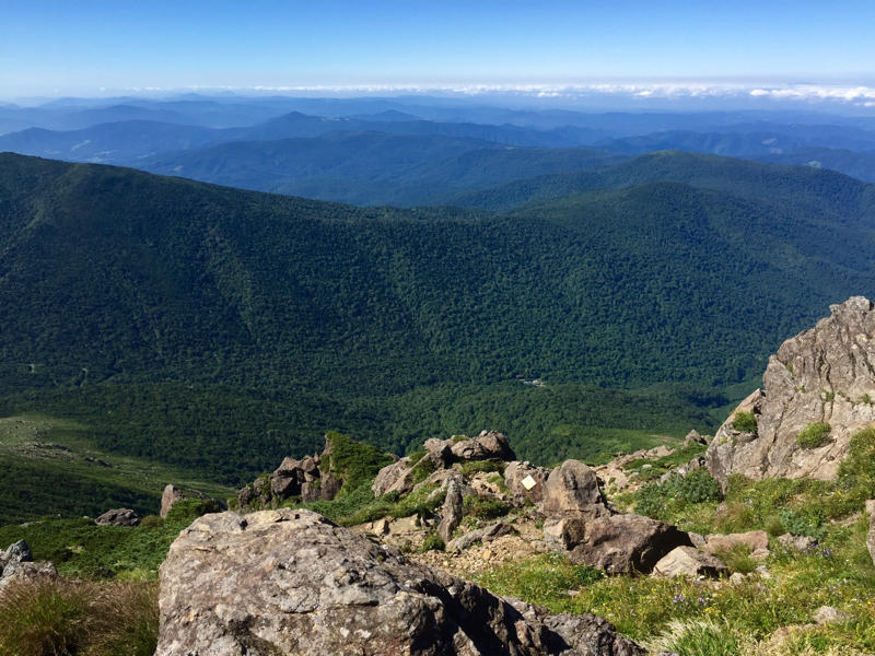 c0225536_07532437.jpg