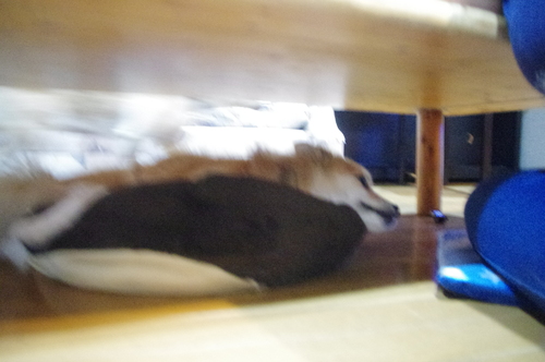 c0266644_015107.jpg