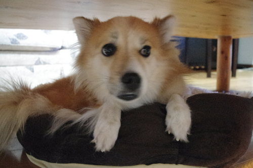 c0266644_0171724.jpg