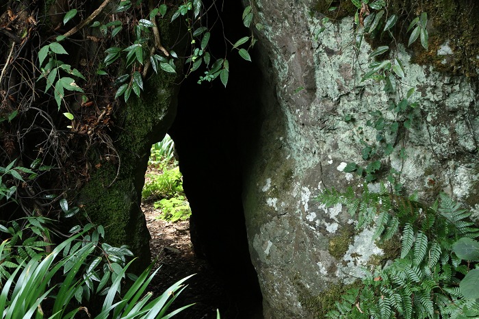 c0155950_20162752.jpg