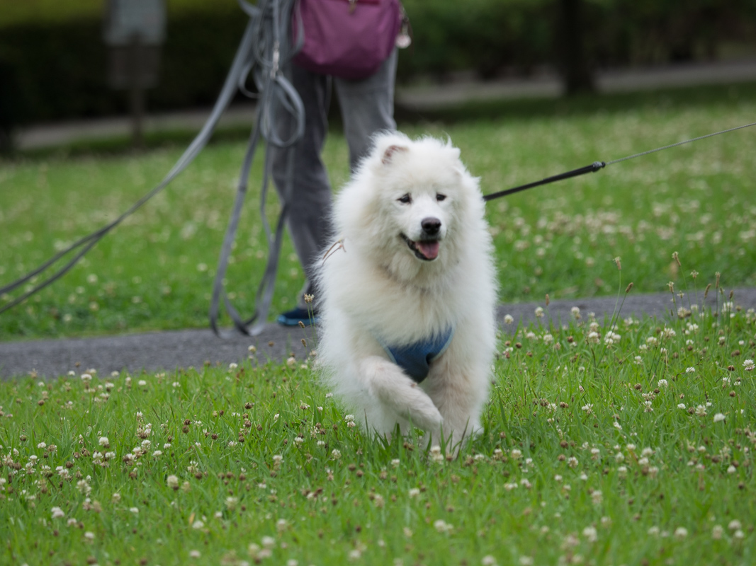 幕張海浜公園_d0144253_9375623.jpg