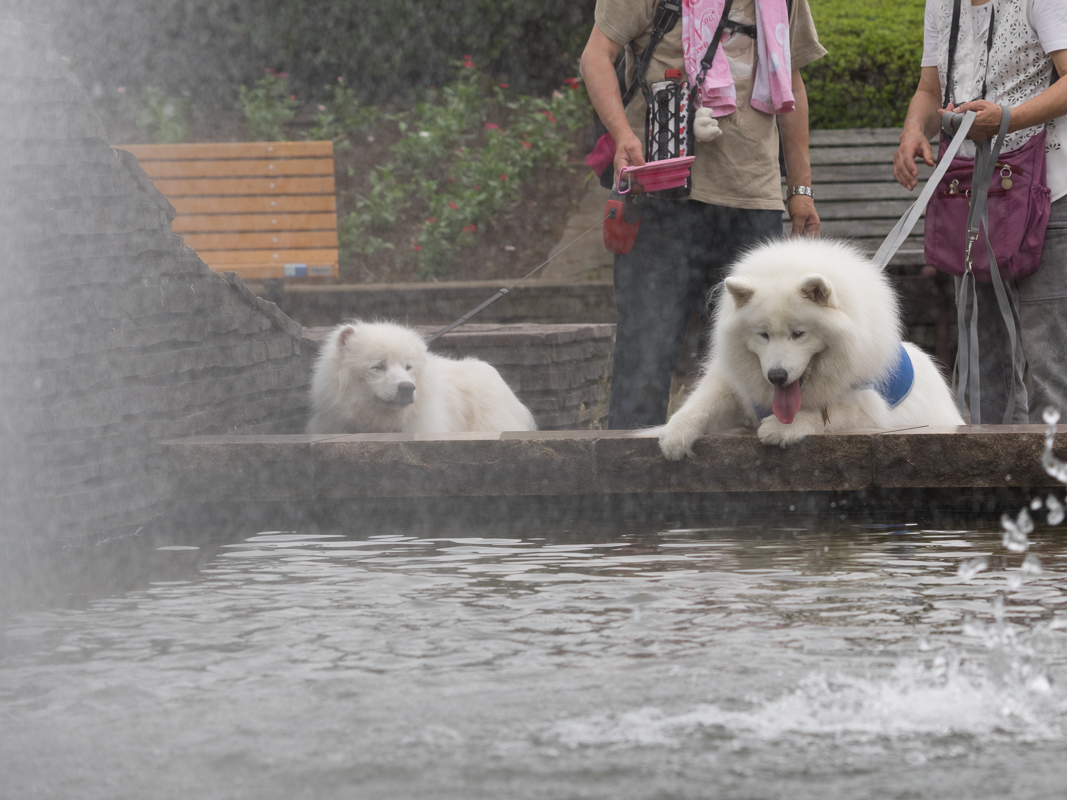 幕張海浜公園_d0144253_9381710.jpg