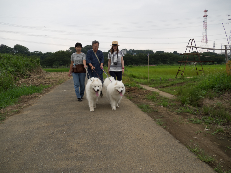 幕張海浜公園_d0144253_949127.jpg